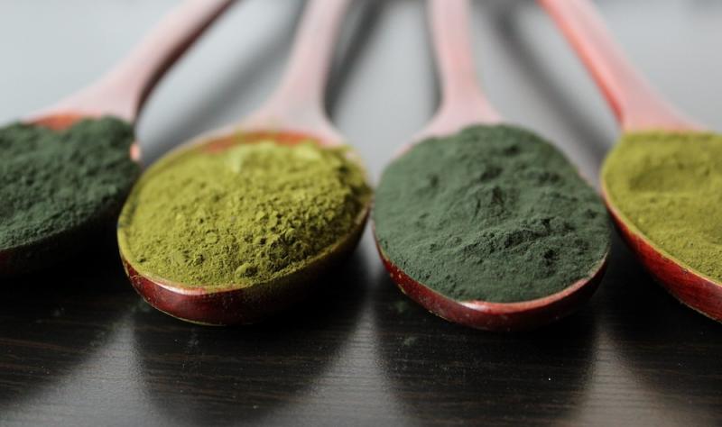 Spirulina, Chlorella, and Blue-Green Algae